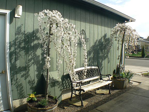 Inviting private entry