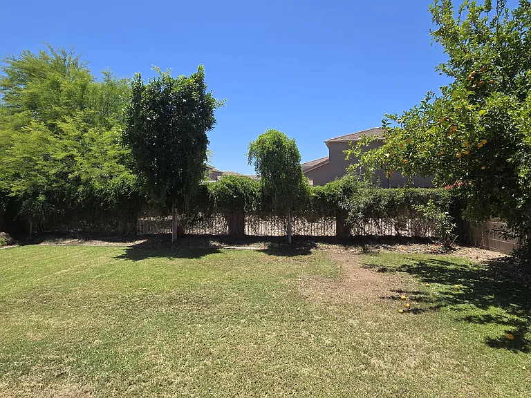 1551 E Orchid Ct — Photo 23