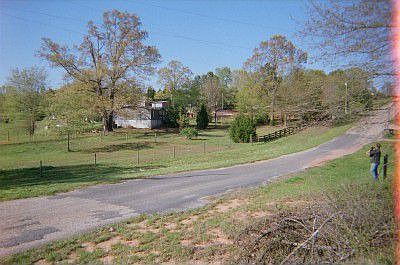 Mini Horse Farm on 5+ Acres