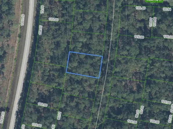 (undisclosed Address), Sebring, FL 33872