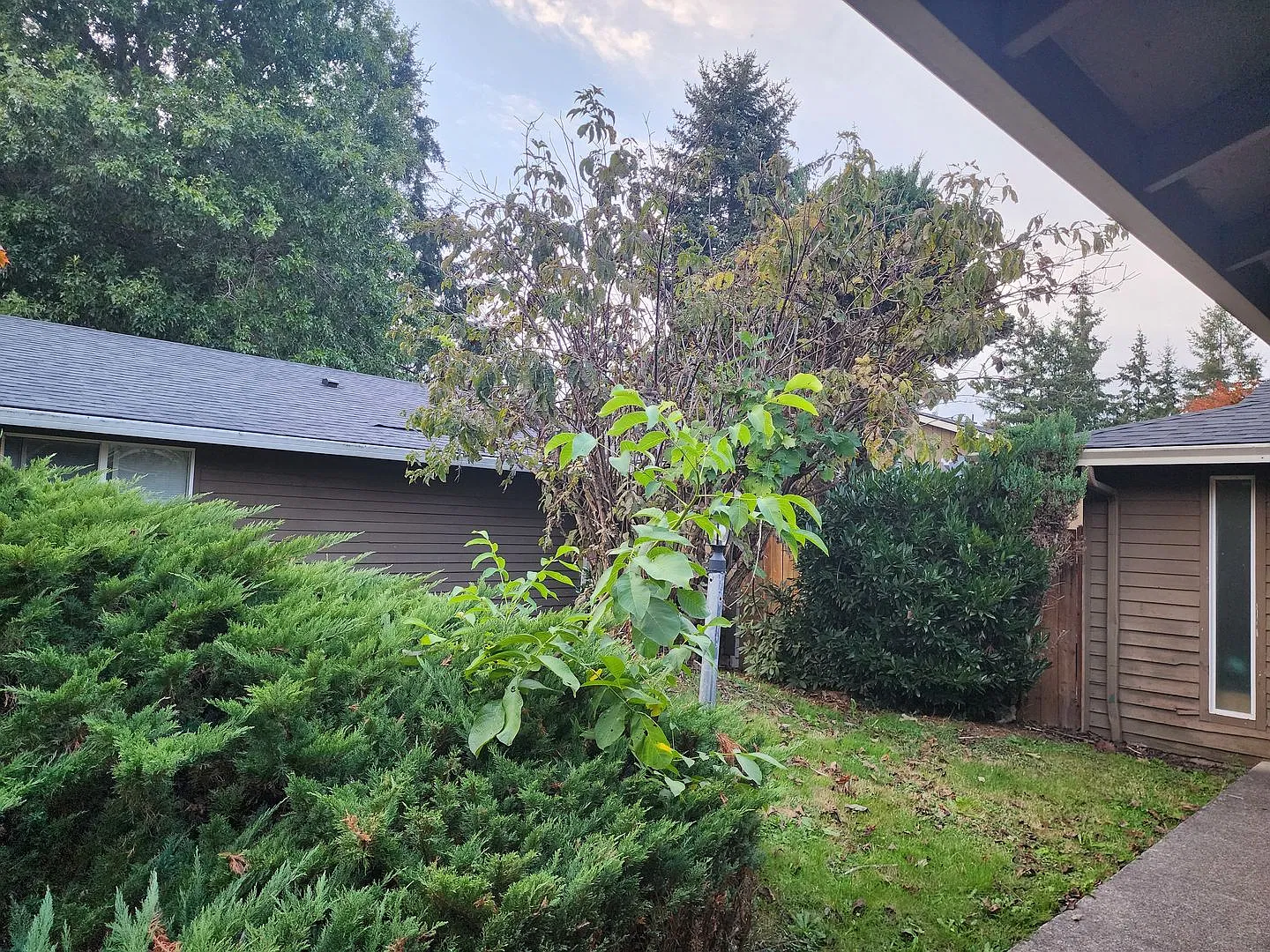 Located in a Desirable Area in Wilsonville 2 Bedroom Unit in a 4 Plex — Photo 2