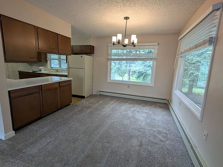 8731 Haggerty Ln — Photo 5