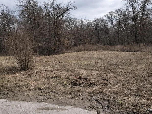 41 Sugar Creek Ct, Troy, MO 63379