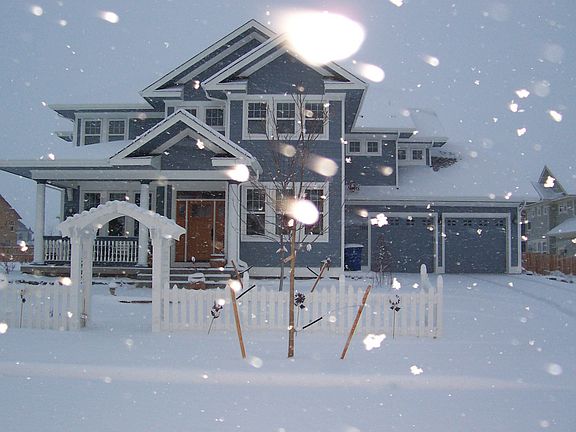 winter