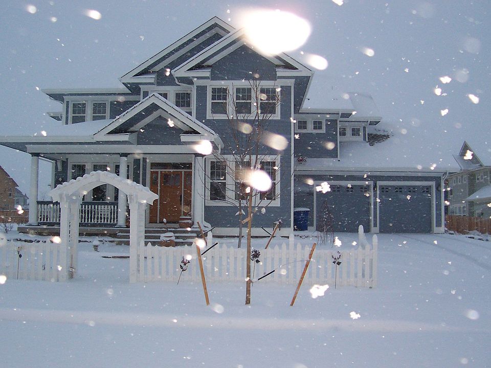 winter