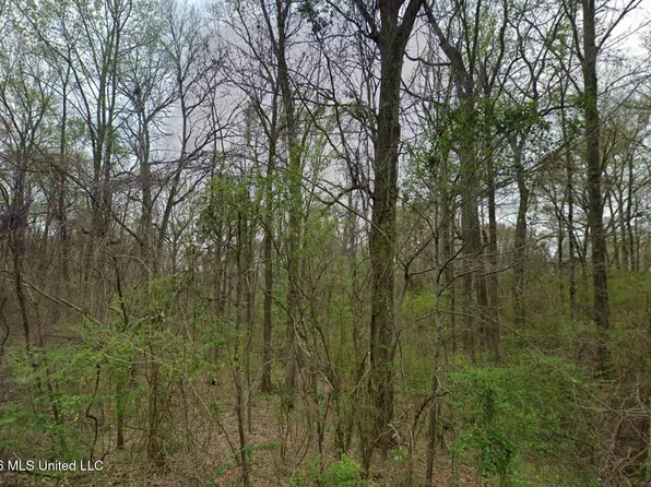 3768 Bird Cv, Hernando, MS 38632