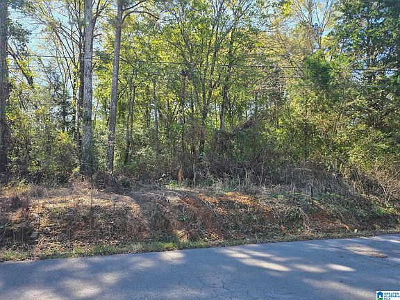 2nd image of LOT 3 Union Hill Church Rd