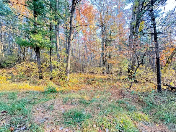 732AC E 58th St, Newaygo, MI 49337