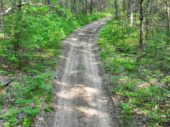 V/l Benson Rd/frd 5259, Free Soil, MI 49411