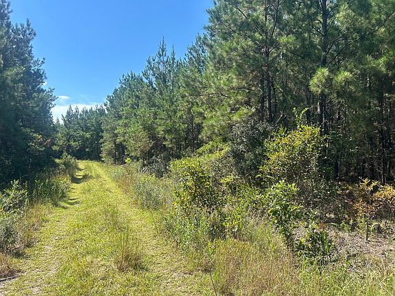 3rd image of 15 Red Oak Rd