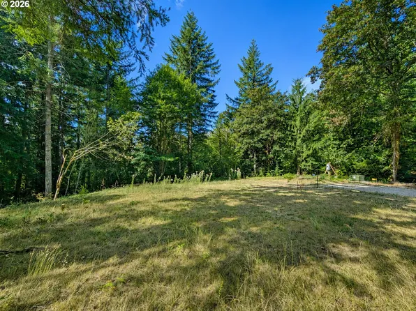 0 NE Schauer Dr, Battle Ground, WA 98604