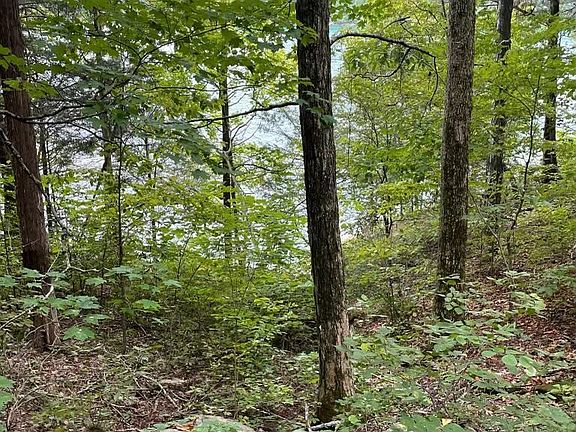 3rd image of LOT 784 Russell Brothers Rd