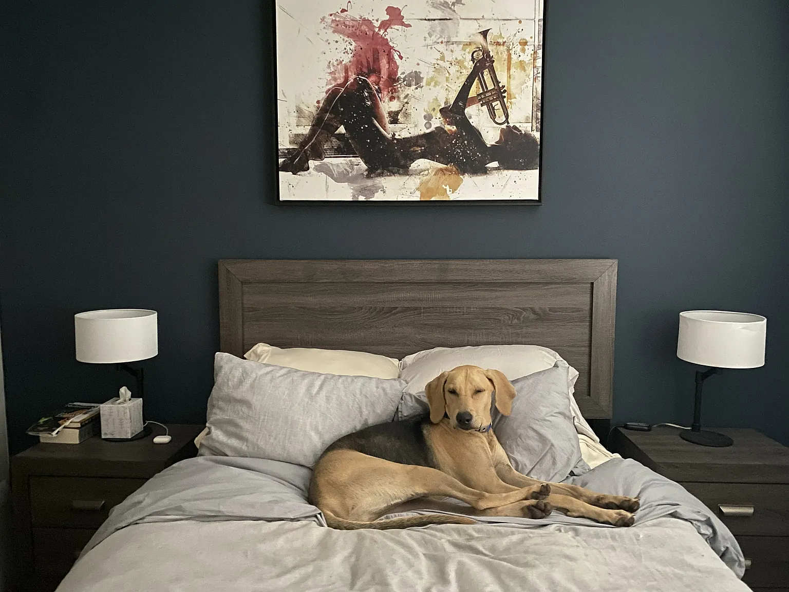 2 bed, 800 sqft, $2,400 — Photo 3
