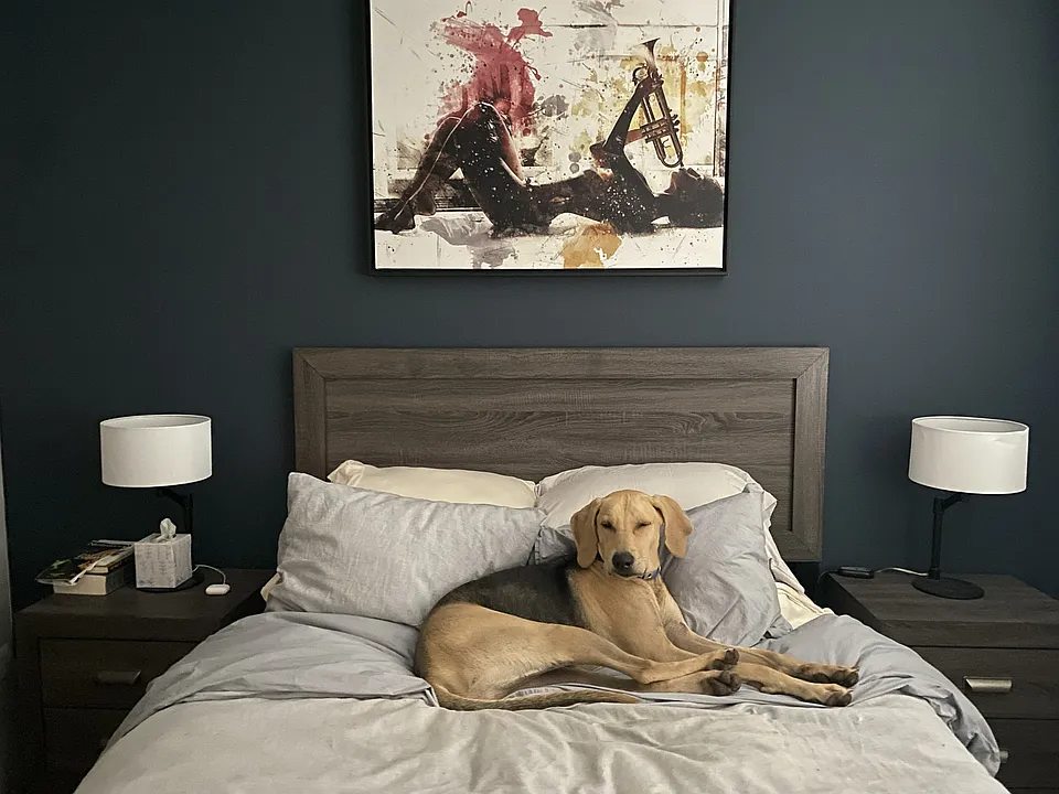 Spacious primary bedroom. This is a queen bed and you can see there is still plenty of space for a larger bed if desired.