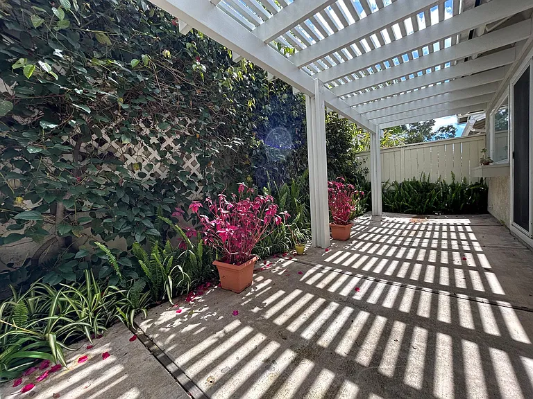Back patio