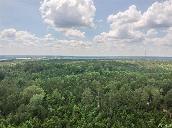 0 Hopewell Rd, Vance, AL 35490