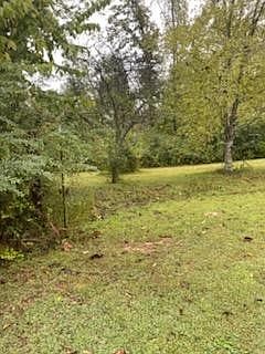 2nd image of 516 Munro Rd