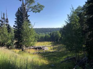 168 Mertz Pl LOT 65, Angel Fire, NM 87710