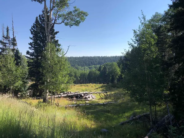 168 Mertz Place Lot 65, Black Lake, NM 87710