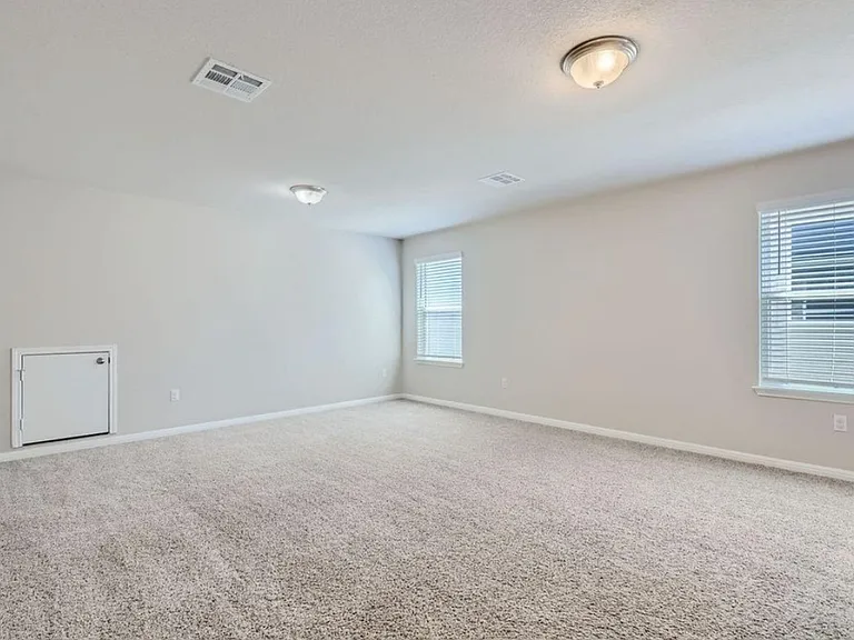 324 Sandhill Piper St — Photo 19