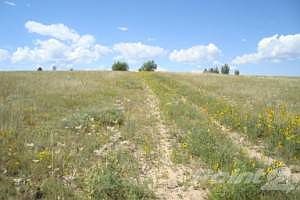 Watch the clouds roll by