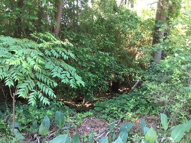 1st image of 240 Driftwood Dr