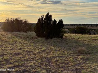 1 9023rd, Concho, AZ 85924