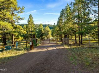 7 N County Road 1332 #46, Greer, AZ 85927