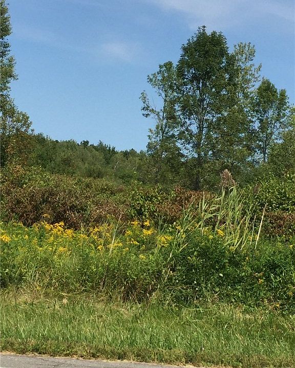 1st image of 7930 Route 31 Hwy Lot 72
