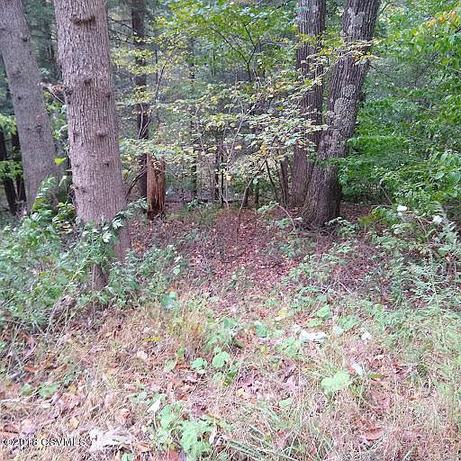 2nd image of Sereno Hollow Rd