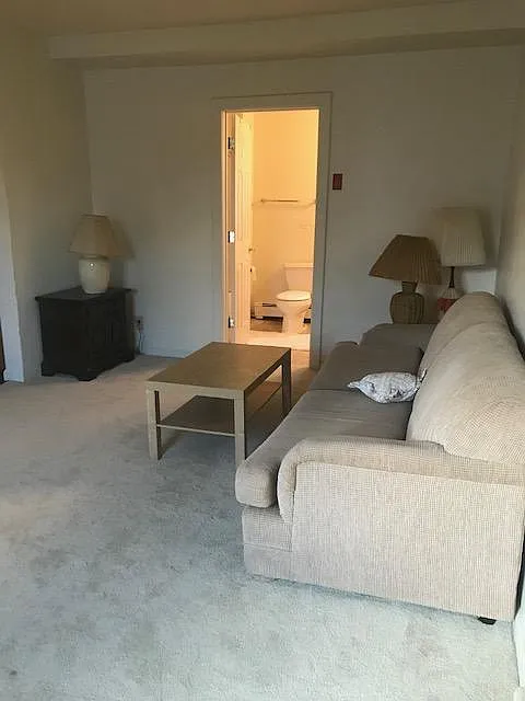 3 bed, 1200 sqft, $2,700 — Photo 3