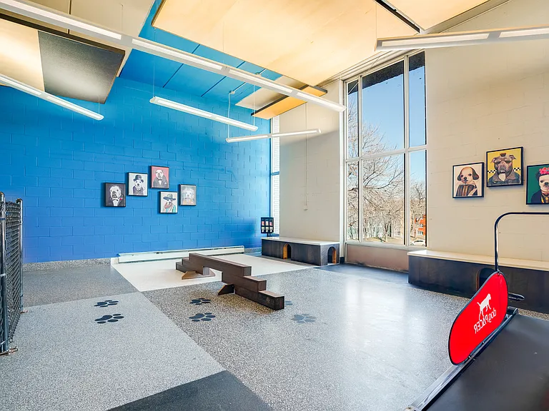 Indoor Doggie Playroom