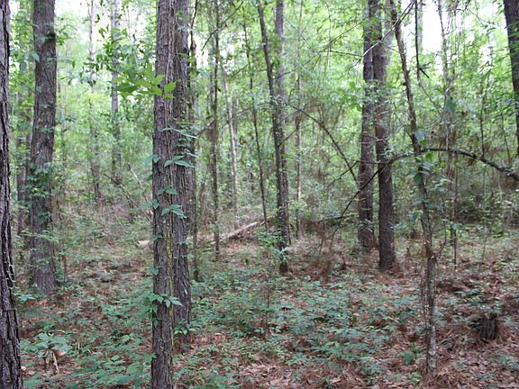 2nd image of Carpenters Landing Rd