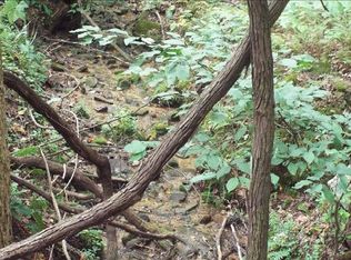 Spring Lake Trl, Ellijay, GA 30536