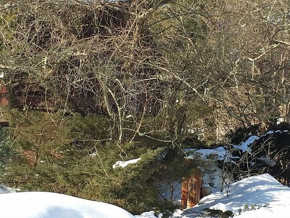 3rd image of 73 Tennyson Dr