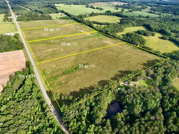 0 Highway 131, Clayton, AL 36016