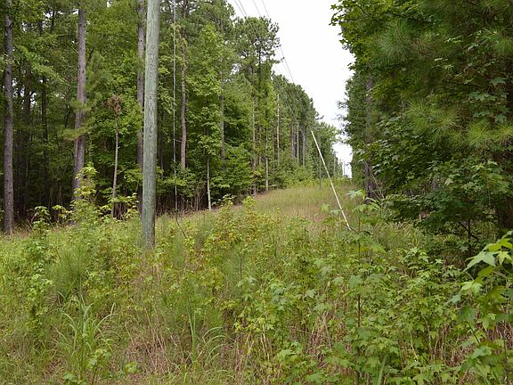 3rd image of 2087 Longtown Rd