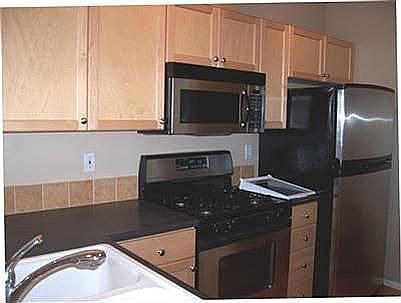 Stainless steel appliances in the fully equiped kitchen, including gas cooking