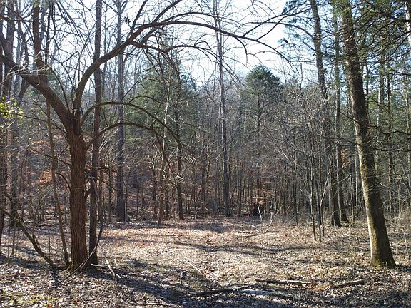 5th image of 0 Buckingham Ln