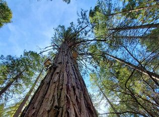 1180 Kentucky Flat Rd, Georgetown, CA 95634