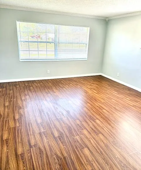 3007 Telka Lynn Dr — Photo 9