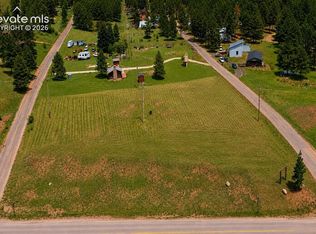 11155 3rd Ave, Woodland Park, CO 80863