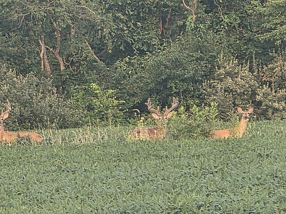 5th image of 9469 County Road 1350 E