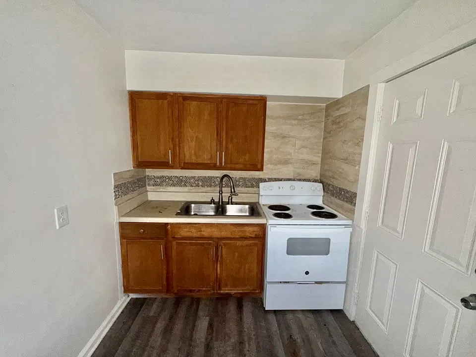1 bed, 540 sqft, $1,000 — Photo 3