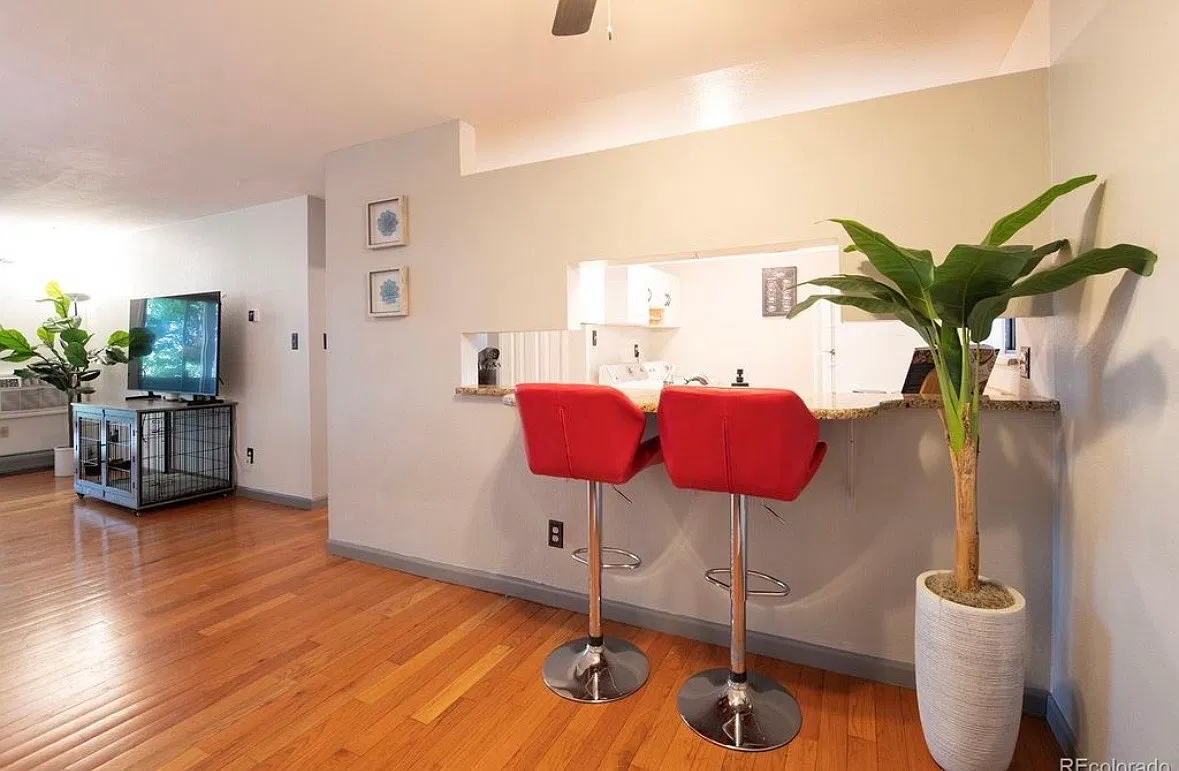 1 bed, 676 sqft, $1,600 — Photo 3
