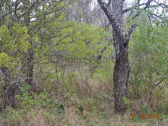 2nd image of 825 County Road 3821
