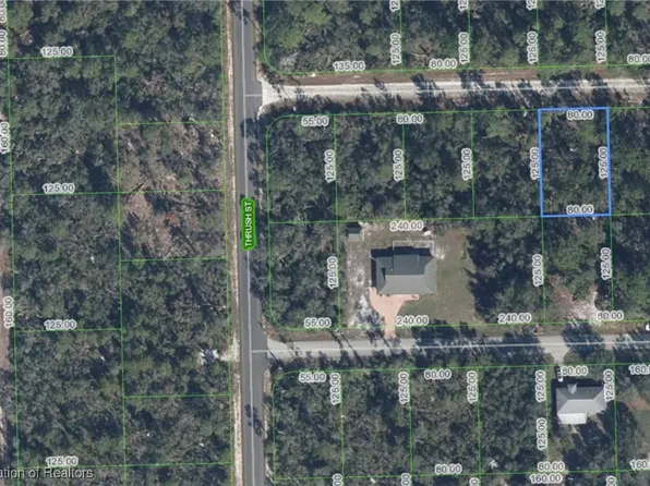 3258 Spoonbill Ave, Lake Placid, FL 33852