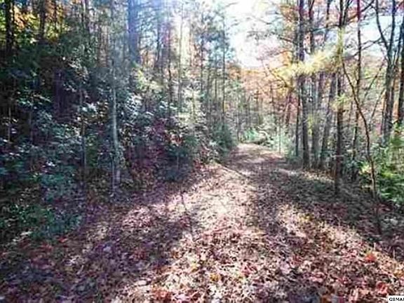 2nd image of 49 Jefferson Rd Lot 49