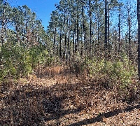 4th image of 0 Bethabara Rd