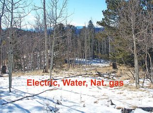 73 Tipton Pl, Cripple Creek, CO 80813